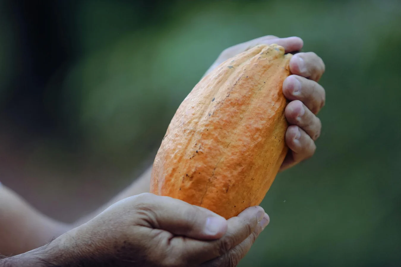 Tendências de consumo pós-pandemia: Tendências de consumo pós-pandemia: 7 insights essenciais para 2025